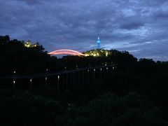 -金鸡山公园
