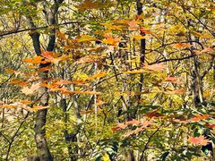 -云峰山自然风景区