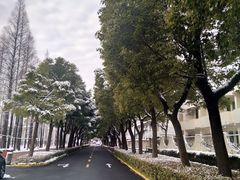 -上海财经大学-新食堂