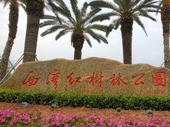 -宝安西湾红树林湿地公园