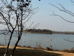 -南湖湿地公园