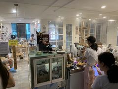 -楼上猫咖(罗湖店)