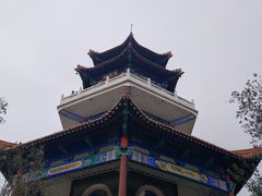 -龙沙公园