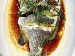 -华兴大酒楼(亿宝大厦店)