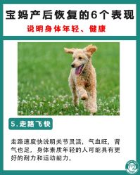 -成都市妇女儿童中心医院(中心院区)