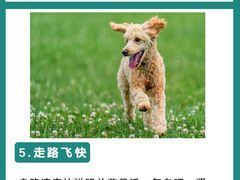 -成都市妇女儿童中心医院(中心院区)