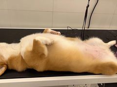 -comecome来吧宠物(奥克斯中心店)