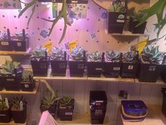 -Rabbit Cafe私房西餐甜点咖啡(栖霞路店)