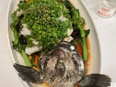碧波青斑-青岛海景花园大酒店·粤海餐厅
