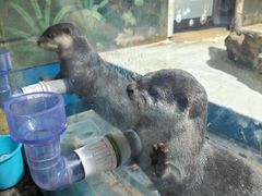 -华夏文旅海洋公园