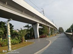 -宝安西湾红树林湿地公园