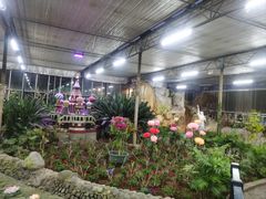 -南宫五洲植物乐园