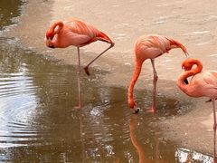 -鄂尔多斯野生动物园