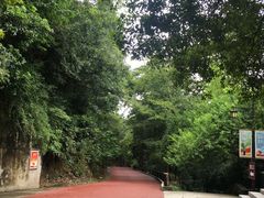 -敬亭山风景名胜区