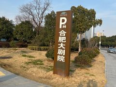 -合肥大剧院