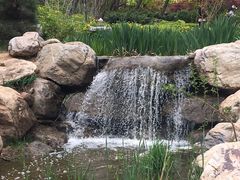 -大连植物园