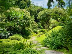 -云溪植物园