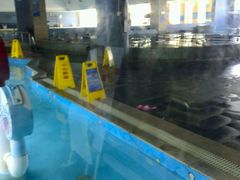 -晋爵会游泳馆(海湾公园店)