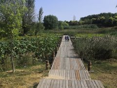 -马家湾湿地公园