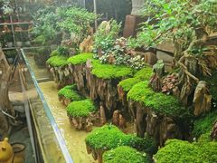 -双季花艺园艺市场(浦东店)