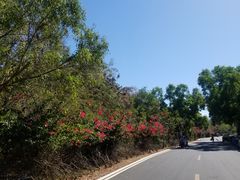 -三亚西岛海洋文化旅游区
