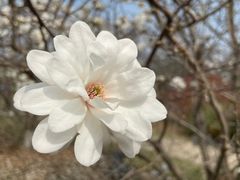 -陕西省西安植物园