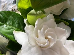 -牛华八婆麻辣烫(起源店)