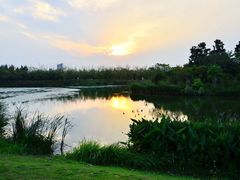 -艾溪湖湿地公园