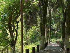 -莫干山风景区
