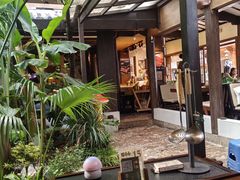 -菌自由丨野生菌火锅特色庭院餐厅(丽江古城店)