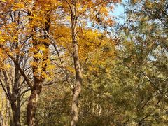 -森林公园(尖草坪区)