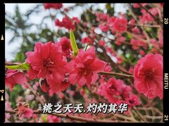 -桃花涧