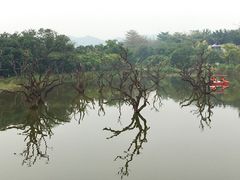 -鹤之洲湿地公园