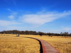 -塞罕坝国家级自然保护区