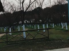 -秀丽东方