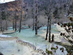 -黄龙山原始森林景区