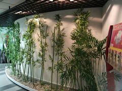 -樱花国际日语(徐家汇中心)