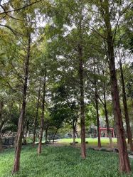 点击看大图 -爱你宝贝儿童摄影(西湖云端店)