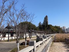 -江心屿景区