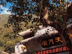 -天门沟九州驿站树上汤泉