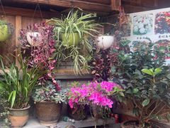 -龙姐私房菜(和顺古镇店)