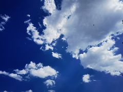 -温州一家人美食(西木头市店)