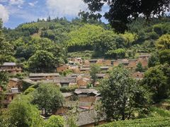 -杨家堂村