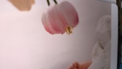 -玛瑞莎孕婴童摄影到家拍