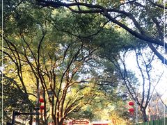 -杭州半山国家森林公园