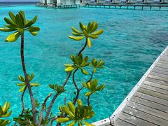 -中央格兰德岛温泉度假酒店 - 全包