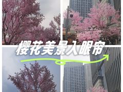 -首开·龙湖成都西宸天街