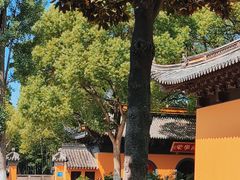 -宝岩生态观光园