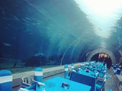 -海棠湾洲际-涛·海底餐厅·美人鱼·自助餐·海底隧道