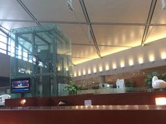 -虹桥机场国航贵宾室v8